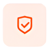 Security Protocols